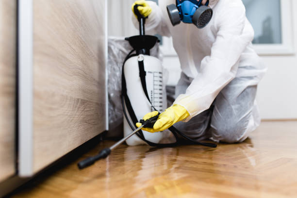 Best Flea Control Services  in Spring Lake, NJ