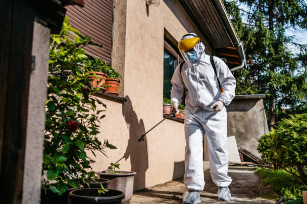 Best Affordable Pest Control Services  in Spring Lake, NJ